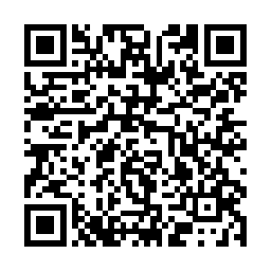 一头血口大张的猛虎张口将灵蛇碧焰火与紫阳火吞下二维码生成