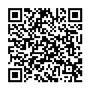 一头足有三四十米长的庞大碧鳞鬼鲛出现在韩风面前二维码生成