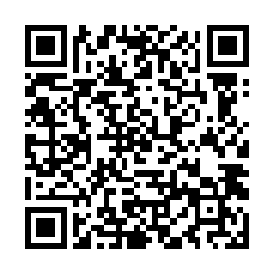 一头身如巍峨大山的巨虎从那璀璨的光芒中破光而出二维码生成