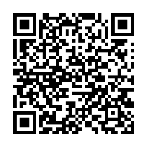 一头锱铢大兽就足以瞬间将他们送到玉水琼浆山顶了二维码生成