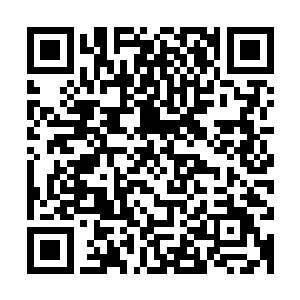 一头食脑魔仆从是不可能一口气干掉七名刺客联盟的接应人员的二维码生成