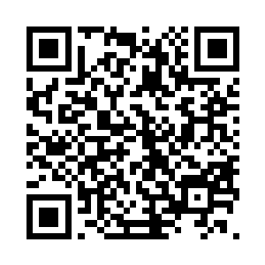 一套正确的衣服可以打造出脱胎换骨的效果二维码生成