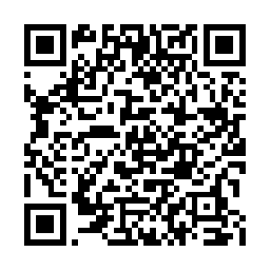 一如既往的到门外的小棚子里打坐凝气三小时后二维码生成