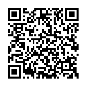 一如杨开能够在一定的距离中感知到法身的存在二维码生成