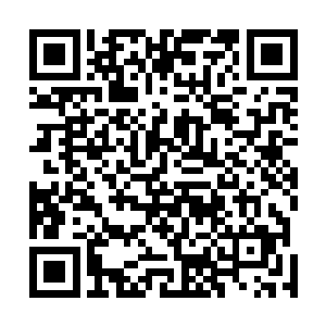 一定不能让这只已经半只脚达到半步妖主级别的妖兽跑掉二维码生成