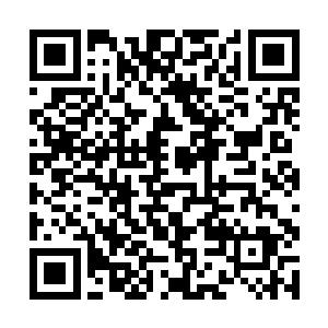 一定会因为生气而在晚餐的时候狂饮几大杯红葡萄酒二维码生成