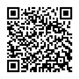 一定会有办法把那秘境中的所有五行混元气和五行仙晶矿脉搬走二维码生成