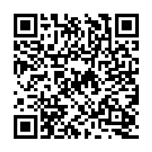 一定可以将这个美丽的小仙子直接搂入自己的怀中二维码生成