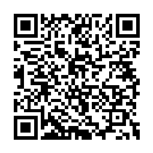 一定和早上林烽给他吃的那个瘦身丹脱不了干系二维码生成