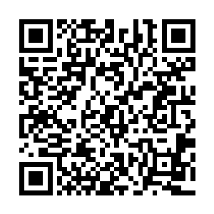 一定得和那位董事聊一聊有关快速存储闪存的发展前景问题二维码生成