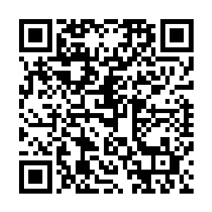 一定是有人将紫烟空间内的生命之光强行送到了自己的体内二维码生成