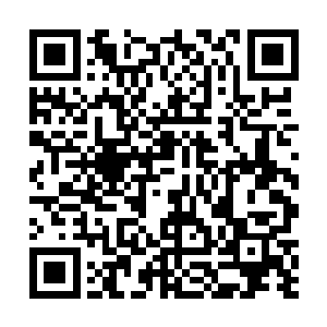 一定是有遗漏出来……你知道那个精子都是很小很小的二维码生成