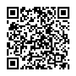 一定是白兰趁我没注意的时候用掉了这些游戏币二维码生成