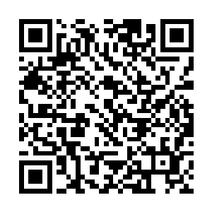 一定是这个不争气的儿子将注意打在了陆锦阳的身上二维码生成