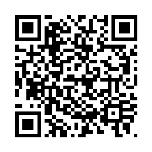 一定有人成功的突破了魔武极壁才对二维码生成