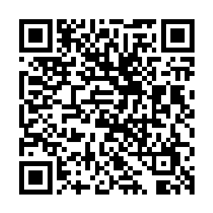 一定能将堡主大人在人族世界和太夏的声望提高到一个新的高度二维码生成