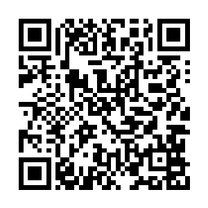 一定要尽快让轩辕法把憋在心中的怨恨发泄出来二维码生成