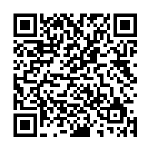 一定要确保新兵在入伍前学会的第一件事一定是无条件服从二维码生成