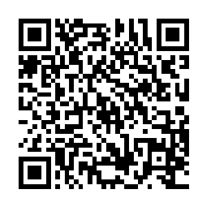 一定要赶在他们交换人质之前赶到金三角把晏晨救出来二维码生成