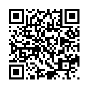 一定还有成百上千只蟑螂孕育和生长着二维码生成