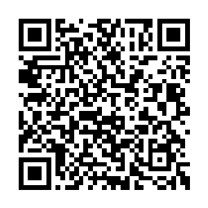 一定都会羡慕我的……你是顶天立地的天蓬元帅二维码生成