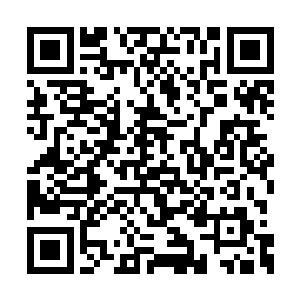 一家人围坐在江南学政府的客厅庆祝她十岁生辰二维码生成