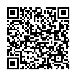 一家小小的翡翠店老板竟然妄想进入拍卖会现场二维码生成