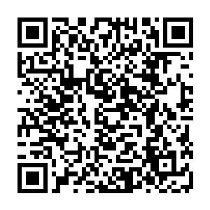 一家工厂出现这样的错误――错误并不是指他们做了什么假冒伪劣的药品二维码生成