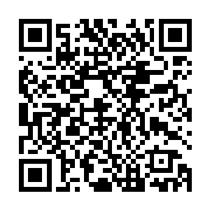 一对对价值连城的贺礼被月璃指挥着送入了月家的仓库二维码生成