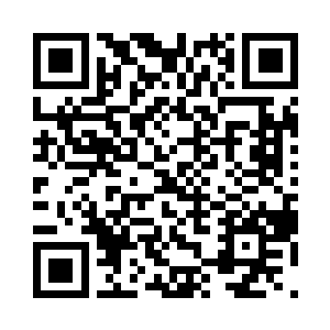 一对尖尖的好似老鼠一样的耳朵竖起来二维码生成