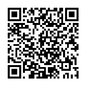 一对恐怖的利爪也直接狠狠的朝着三个人的后背抓了过去二维码生成