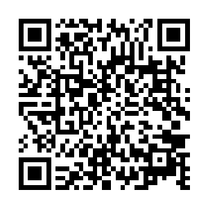 一对明显已经足够支撑其飞翔的黑色合拢的翅膀的时候二维码生成