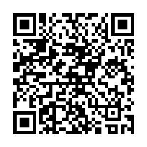 一对由风属性魔法元素组成的翅膀出现在了他们的后面二维码生成