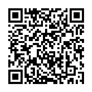 一对赤金镶红宝石的耳环和一条赤金镶莲花纹的项圈二维码生成