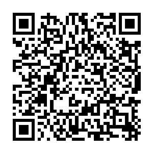 一尊八星圣级的老者带着一个三星圣级的青年走到了五个被占据的祭坛之一前二维码生成