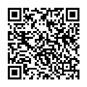 一尊紫sè的巨印也是凭空出现…渐渐的凝结成了实体二维码生成