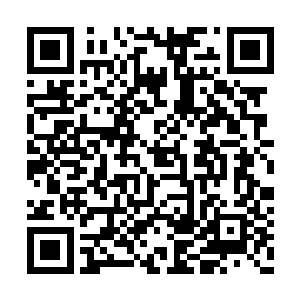 一尊血色的诡异的虚影也在虚空之中缓缓的凝聚二维码生成