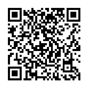 一尊青色霸气的青龙身躯一弹便是向着行长老猛然冲去二维码生成