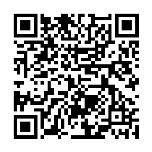 一小撮淡黄色的细长茎状小菜点缀着点点鲜红辣椒二维码生成