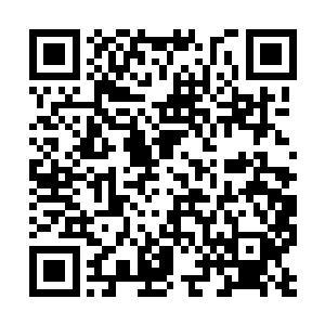 一层层九品后期巅峰仙符从储物戒指中释放了出来二维码生成