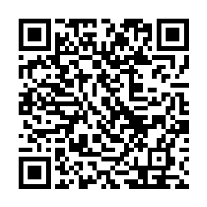 一岁后韩风就开始在韩家书阁和武技阁中大量的阅读二维码生成