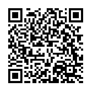 一左一右挥掌拍了过来……即便是曹元侥幸闪避过了一个人二维码生成