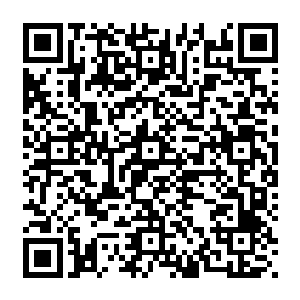 一左一右的牵着贝海的手往家走然后不停的讨论着要把这两只小乌龟放到院中的哪里养二维码生成
