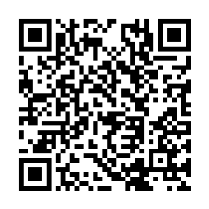 一巴掌反抽得俞帆七晕八素……简直成了条件反射二维码生成