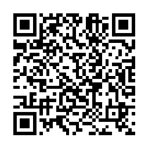 一帮朝气的小鸡崽们还没适应这种更高级的生活环境二维码生成