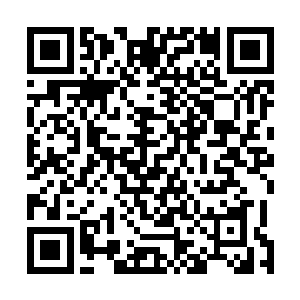 一干正在房间里吃着早餐装着大头蒜的大牧领们瞬间团灭二维码生成