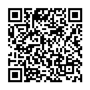 一年下来可以开采的四阶灵石是一个相当庞大的数目二维码生成