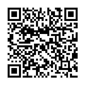 一年之内橡胶股票的价格能够达到一个惊人的高度二维码生成