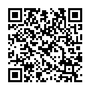 一年多前的高烧让她以为差点要失去了唯一的亲人二维码生成