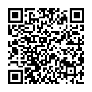 一年能赚几十万……上电视上舞台的机会一大把二维码生成